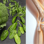Dois vegetais que podem contribuir para a saúde das articulações e favorecer a produção natural de colágeno