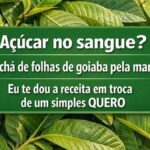 Chá de folha de goiaba