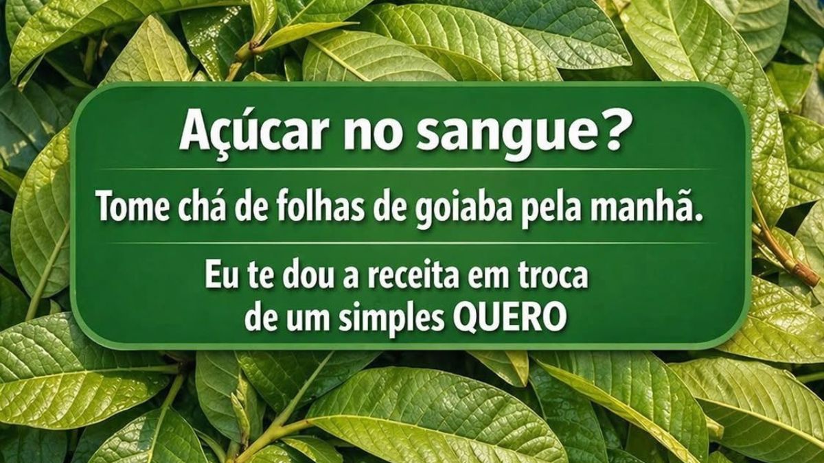 Chá de folha de goiaba