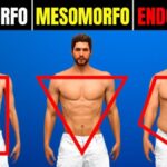 Você é Ectomorfo, Mesomorfo ou Endomorfo? Descubra o seu tipo de corpo e entenda o que ele realmente significa