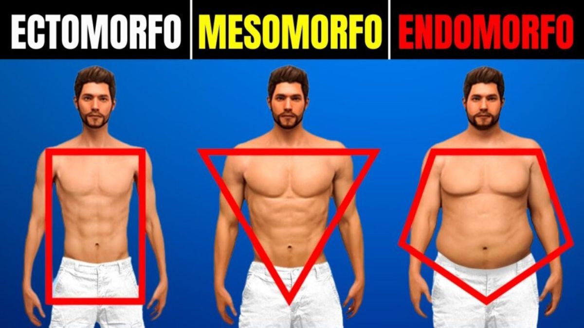 Você é Ectomorfo, Mesomorfo ou Endomorfo? Descubra o seu tipo de corpo e entenda o que ele realmente significa