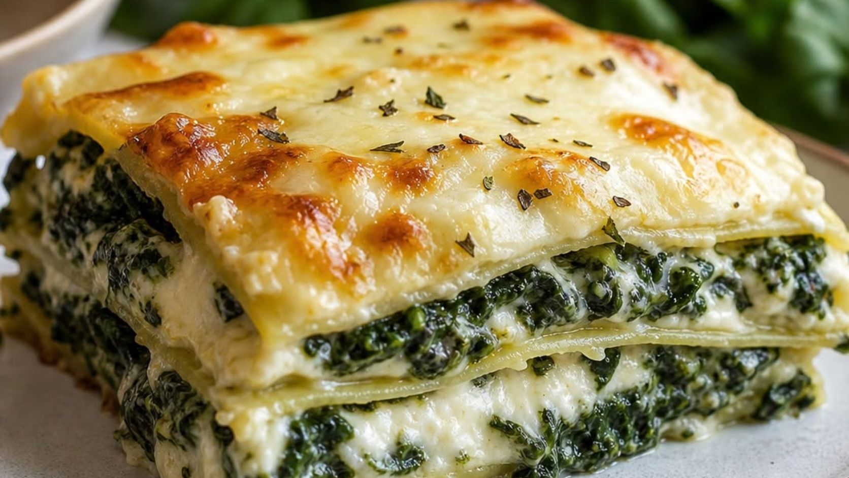 Lasanha de espinafre cremosa